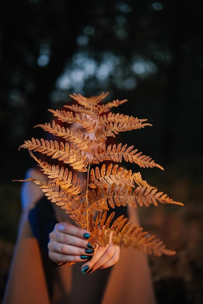 Jeune femme se cachant derrière une feuille de fougère dans une forêt sombre