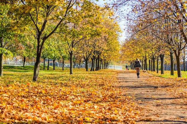 Jeune femme solitaire marchant dans un parc de la ville à l'automne