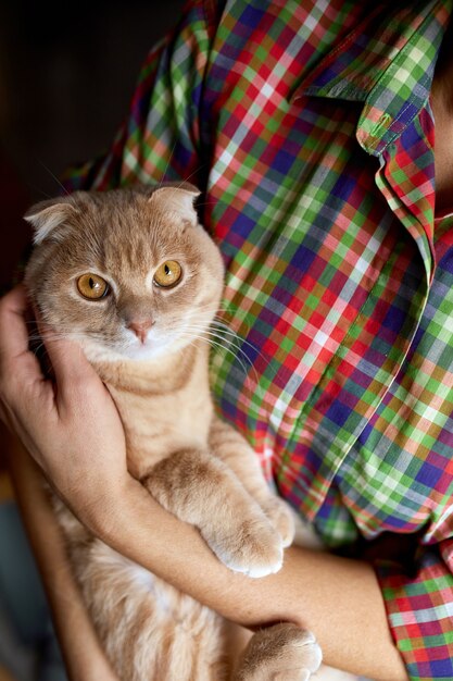 Jeune femme tenant un chat dans les mains