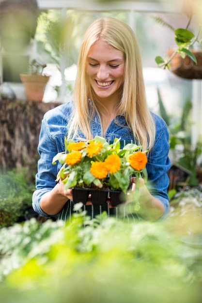 Jeune, femme, tenue, pot, fleurir, plante