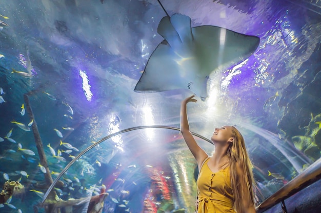 Jeune femme touche un poisson raie dans un tunnel de l'océanarium