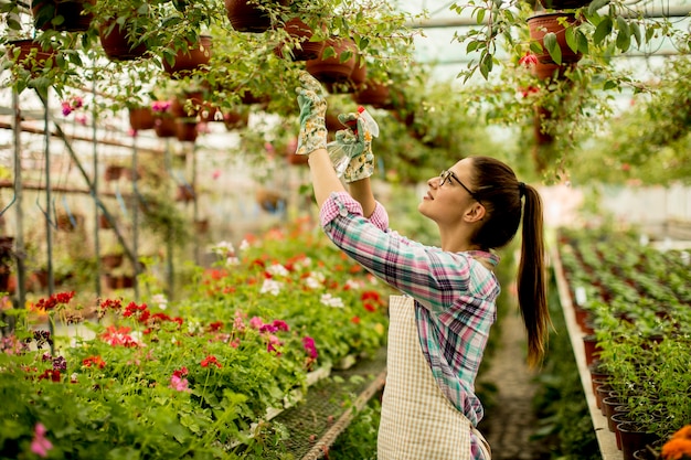 Jeune femme travaillant avec des fleurs de printemps dans la serre