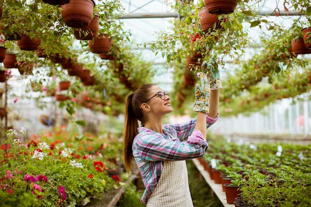 Jeune femme travaillant avec des fleurs de printemps en serre