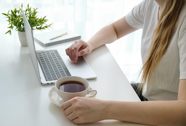 Jeune femme travaillant sur un ordinateur portable assis dans le salon en buvant du thé