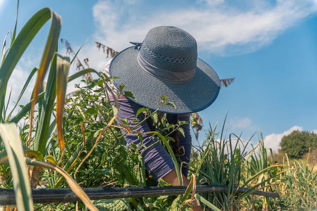 Une jeune femme travaillant sur son jardin à la maison