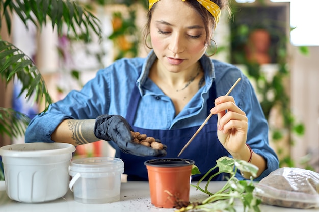 Jeune femme versant le drainage dans un pot de fleurs tout en se préparant à la transplantation de plantes dans la vie