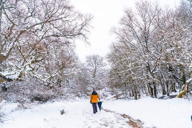 Une jeune femme en veste jaune marchant le long du chemin des arbres gelés. Neige dans la ville d'Opakua près de Vitoria à Araba