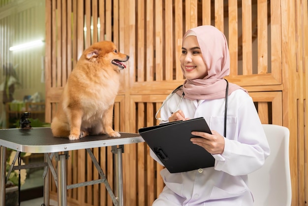 Jeune femme vétérinaire musulmane avec stéthoscope examinant un chien dans une clinique vétérinaire