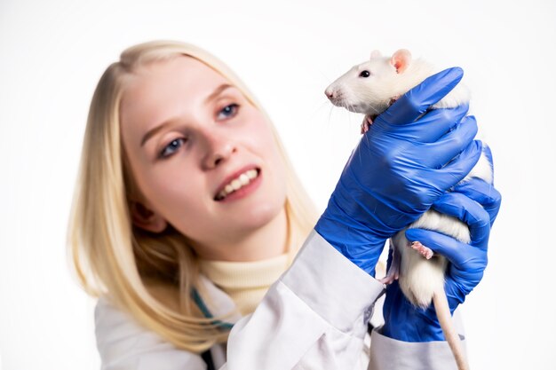 Jeune femme vétérinaire regarde le rat.