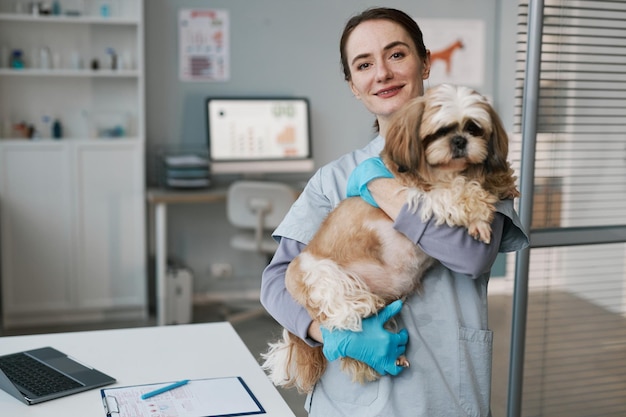 Jeune femme vétérinaire réussie tenant mignon yorkshire terrier