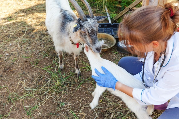 Photo jeune femme vétérinaire avec stéthoscope tenant et examinant un chevreau sur fond de ranch. jeune chèvre entre les mains du vétérinaire pour un contrôle dans une ferme écologique naturelle. élevage moderne, agriculture écologique.