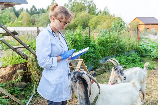 Jeune femme vétérinaire avec tablette examinant la chèvre au ranch