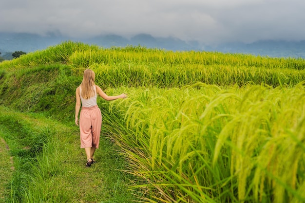 Jeune femme voyageuse sur les belles terrasses de riz de Jatiluwih sur fond de célèbres volcans de Bali, en Indonésie.