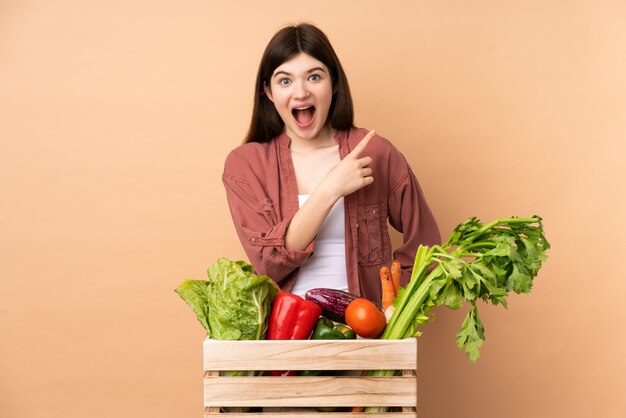 Jeune fermière avec des légumes fraîchement cueillis dans une boîte surprise et pointant le côté