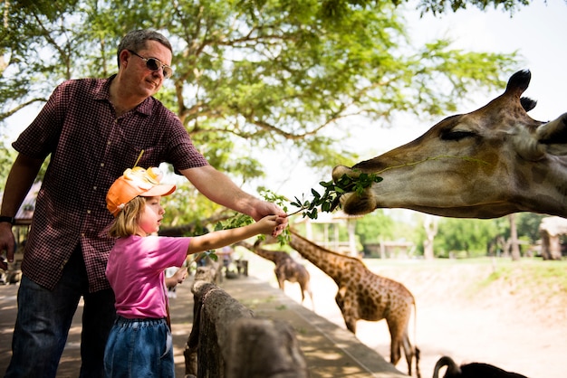 Jeune fille caucasienne nourrir la girafe au zoo