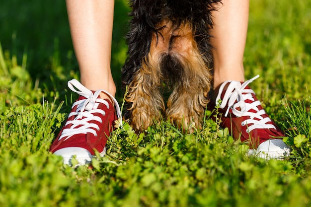 Jeune fille dans les baskets rouges debout sur l'herbe avec son chien