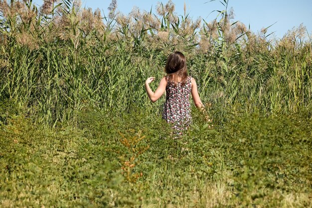 Une jeune fille dans un champ dans une robe fleurie vue de l'arrière