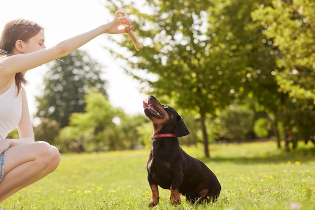 une jeune fille entraîne un chien teckel dans le parc par une journée ensoleillée un chien avec un os