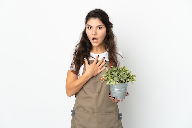 Jeune fille de jardinier russe tenant une plante isolée surpris et choqué tout en regardant à droite