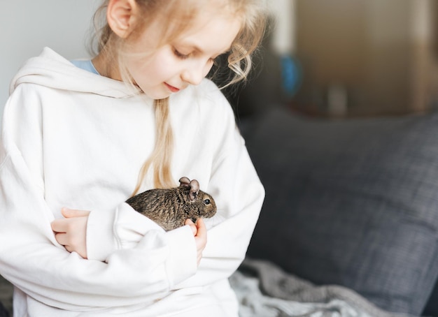 Jeune fille jouant avec un petit écureuil animal degu