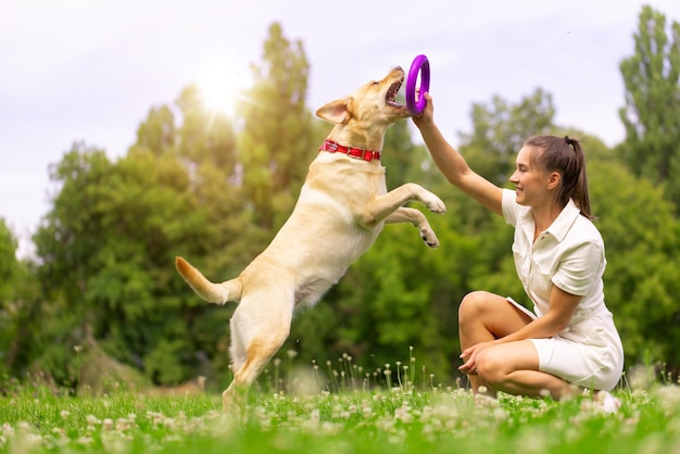 Une jeune fille joue avec un anneau de jouet avec un chien labrador sur l'herbe