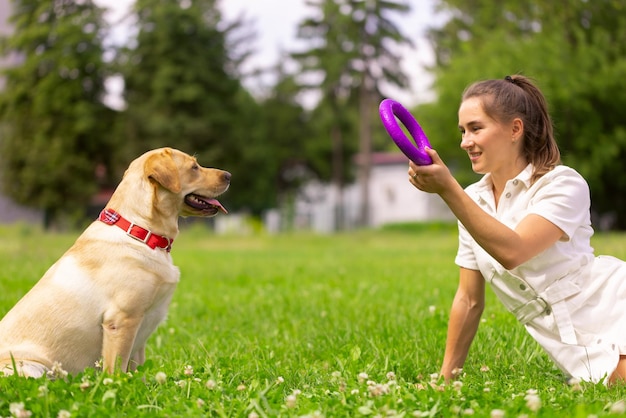 Une jeune fille joue avec un anneau de jouet avec un chien labrador sur l'herbe