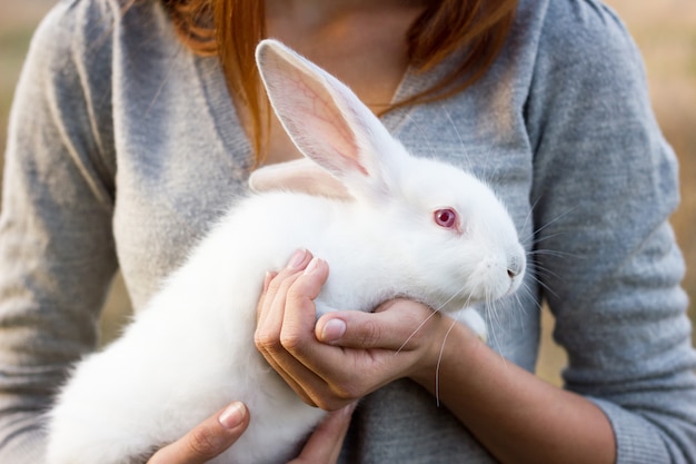 la jeune fille avec le lapin.happy petite fille tenant mignon lapin moelleux.amitié avec lapin de Pâques