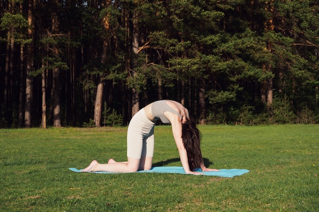 Une jeune fille mince fait du yoga, exécute des asanas sur un tapis, dans la nature. Sports de plein air, concept de mode de vie sain. Une femme passe une séance de fitness dans le parc, dans la forêt, au soleil.