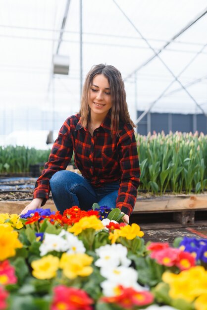 Jeune fille, ouvrier, à, fleurs, dans, serre