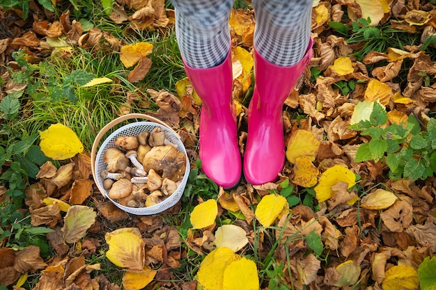 Une jeune fille avec un panier de champignons est debout dans des bottes en caoutchouc roses.