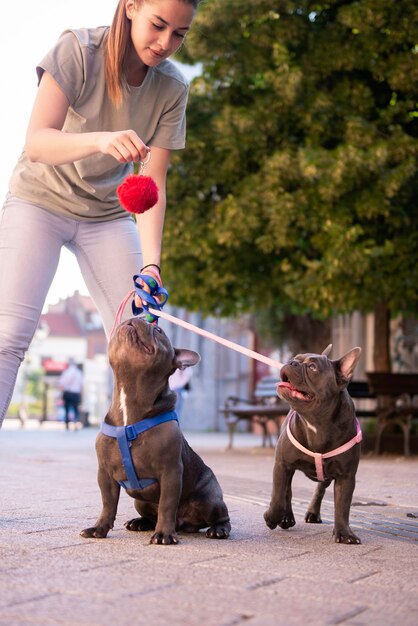 Jeune Fille Prenant Ses Mignons Bulldogs Friech Bleu Pour Une Promenade Dans Les Rues