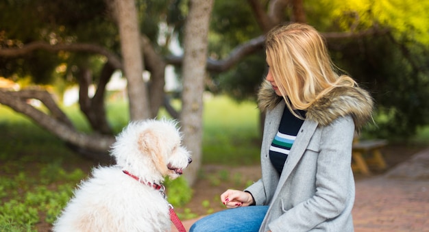 Jeune fille avec son chien dans un parc