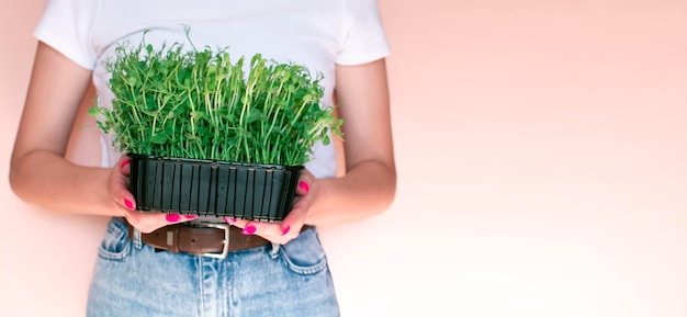 La jeune fille tient une boîte en carton avec des micro-verts Germes crus Alimentation et régime sains Mode de vie végétalien Ingrédient vert frais Feuilles délicieuses Aliments biologiques naturels Graines sélectionnées pour la croissance