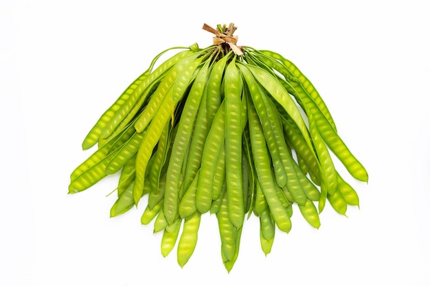 Jeune fruit de Leucaena leucocepphala sur fond blanc.