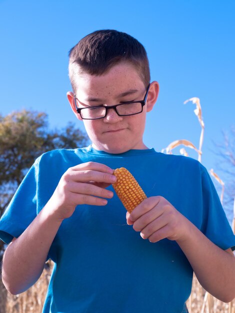 Jeune garçon inspectant le maïs dans le labyrinthe des champs de maïs.