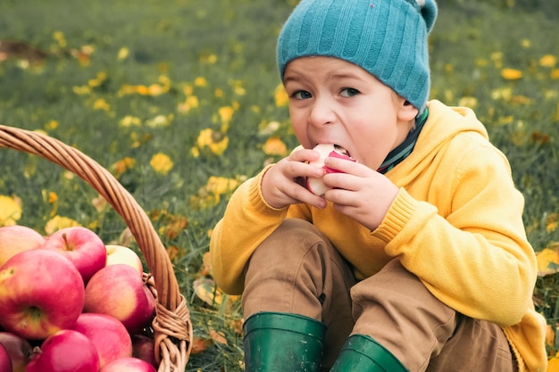 Un jeune garçon mangeant des pommes dans un champ de fleurs jaunes.