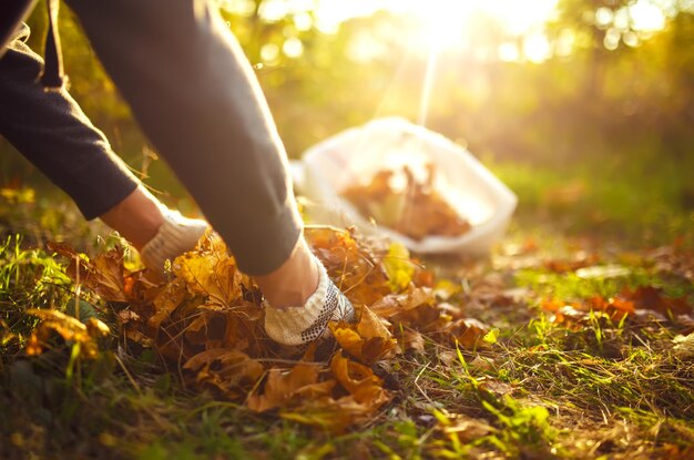 Jeune garçon nettoie les feuilles mortes Concept de pureté des feuilles d'automne Gants d'extérieur sur ses mains