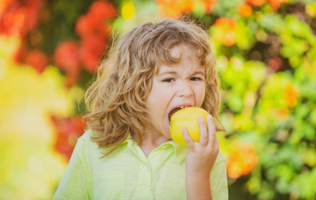 Le jeune garçon de pays mange une pomme sur un verger ou une ferme de pommier