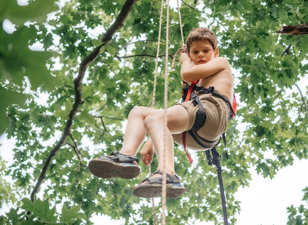 Jeune garçon portant un harnais d'escalade suspendu à une corde tout en grimpant à un arbre avec du matériel alpin et du matériel d'escalade, cours d'escalade pour enfants