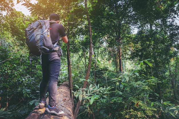 Jeune, hipster, homme, met, sac, whit, chaussures, chaussures, bois, voyage, forêt, nature