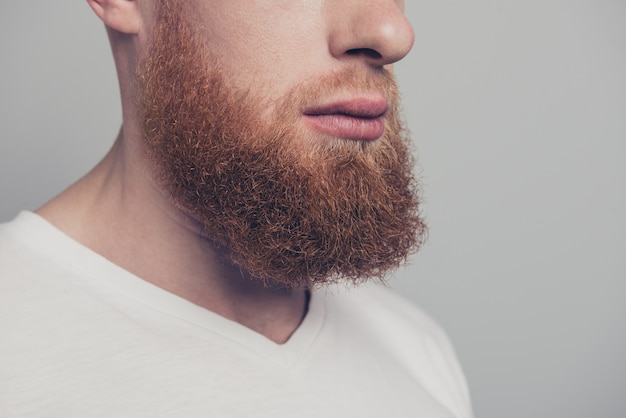 Jeune homme, à, barbe rousse