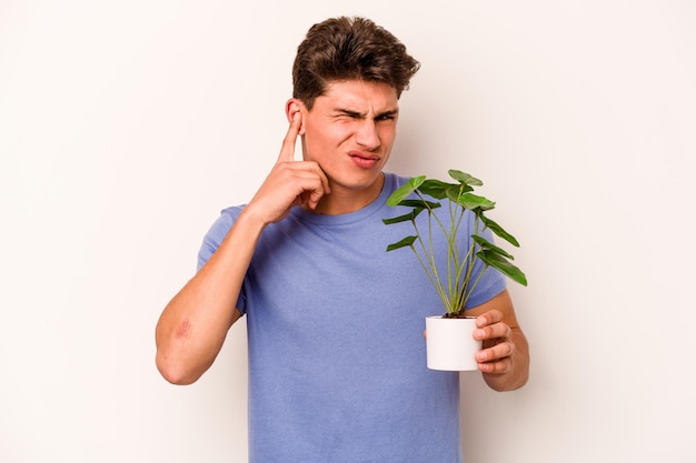 Jeune homme caucasien tenant une plante isolée sur fond blanc couvrant les oreilles avec les mains