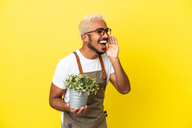 Jeune homme colombien tenant une plante isolée sur fond jaune criant avec la bouche grande ouverte sur le côté