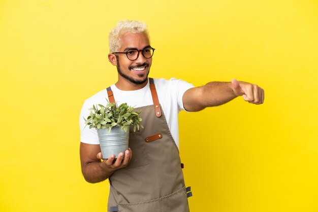 Jeune homme colombien tenant une plante isolée sur fond jaune donnant un geste du pouce vers le haut