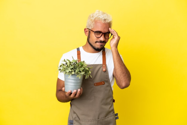 Jeune homme colombien tenant une plante isolée sur fond jaune avec maux de tête