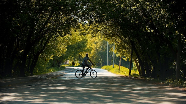 Jeune homme faisant du vélo dans l'arche d'arbre du parc verdoyant