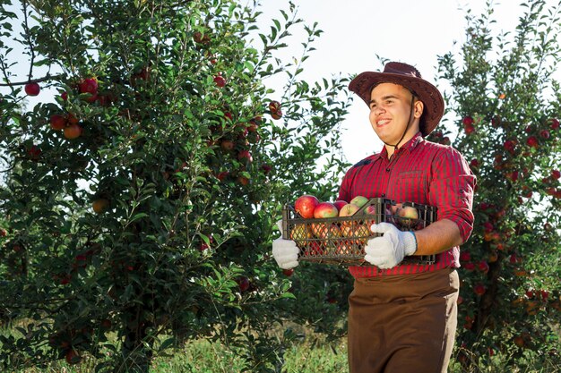 Jeune homme heureux dans le jardin la collecte de pommes mûres