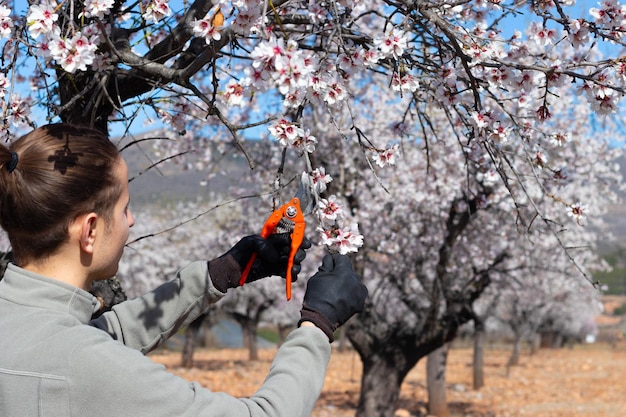 Jeune homme jardinier coupant une branche d'arbre au printemps