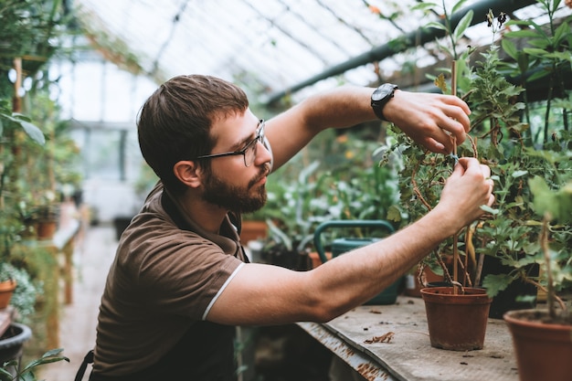 Jeune homme jardinier s'occupant de plantes en serre