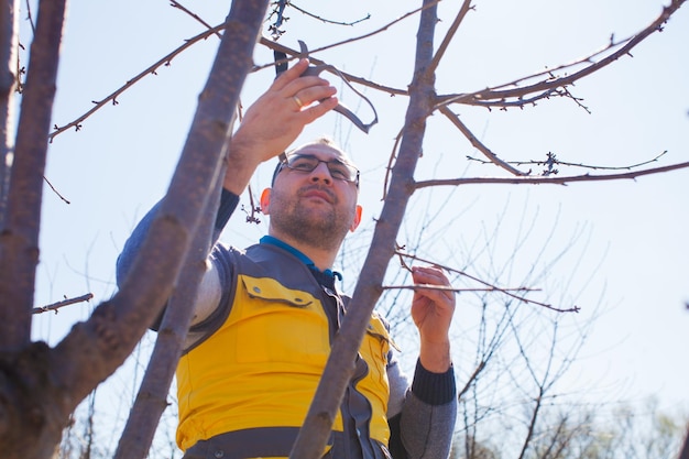 Jeune homme, le jardinier avec un sécateur debout dans les escaliers, un homme taillant un arbre